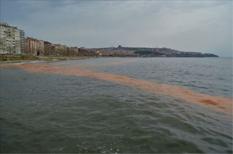 Marmara Denizi turuncuya boyandı