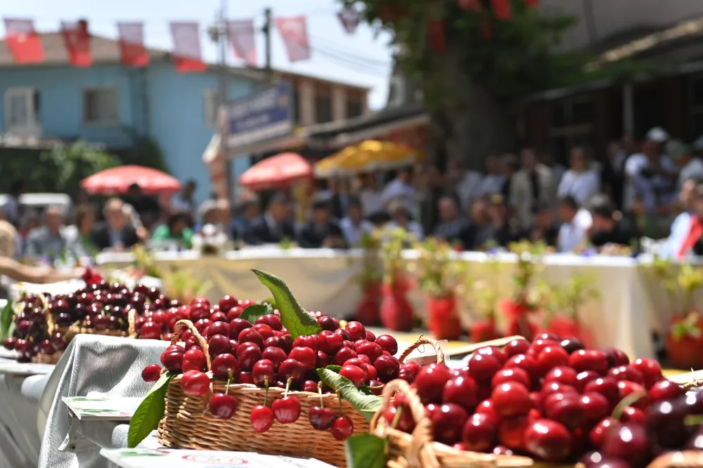 Kiraz Festivalinin Tarihleri Belli Oldu